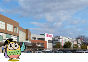 コスパもタイパも優等生だホ!