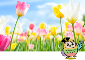 春の新規講座がスタートするホ!