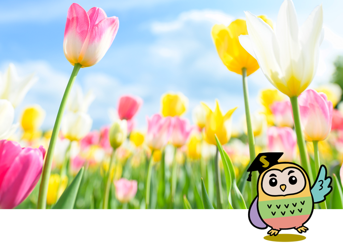 春の新規講座がスタートするホ！