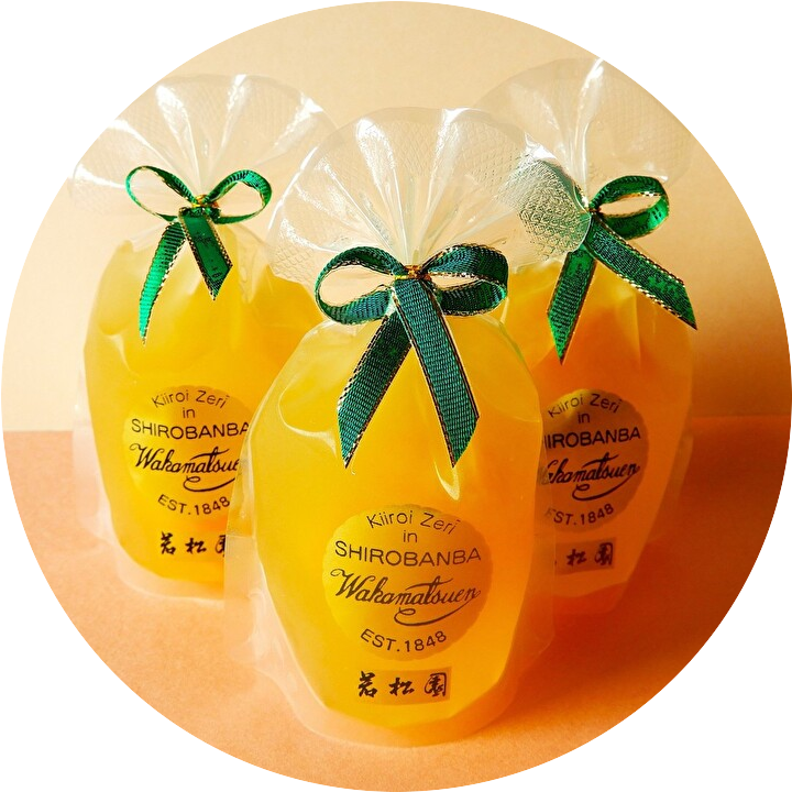 カルチャーアカデミー岐阜新聞・岐阜放送 講座画像