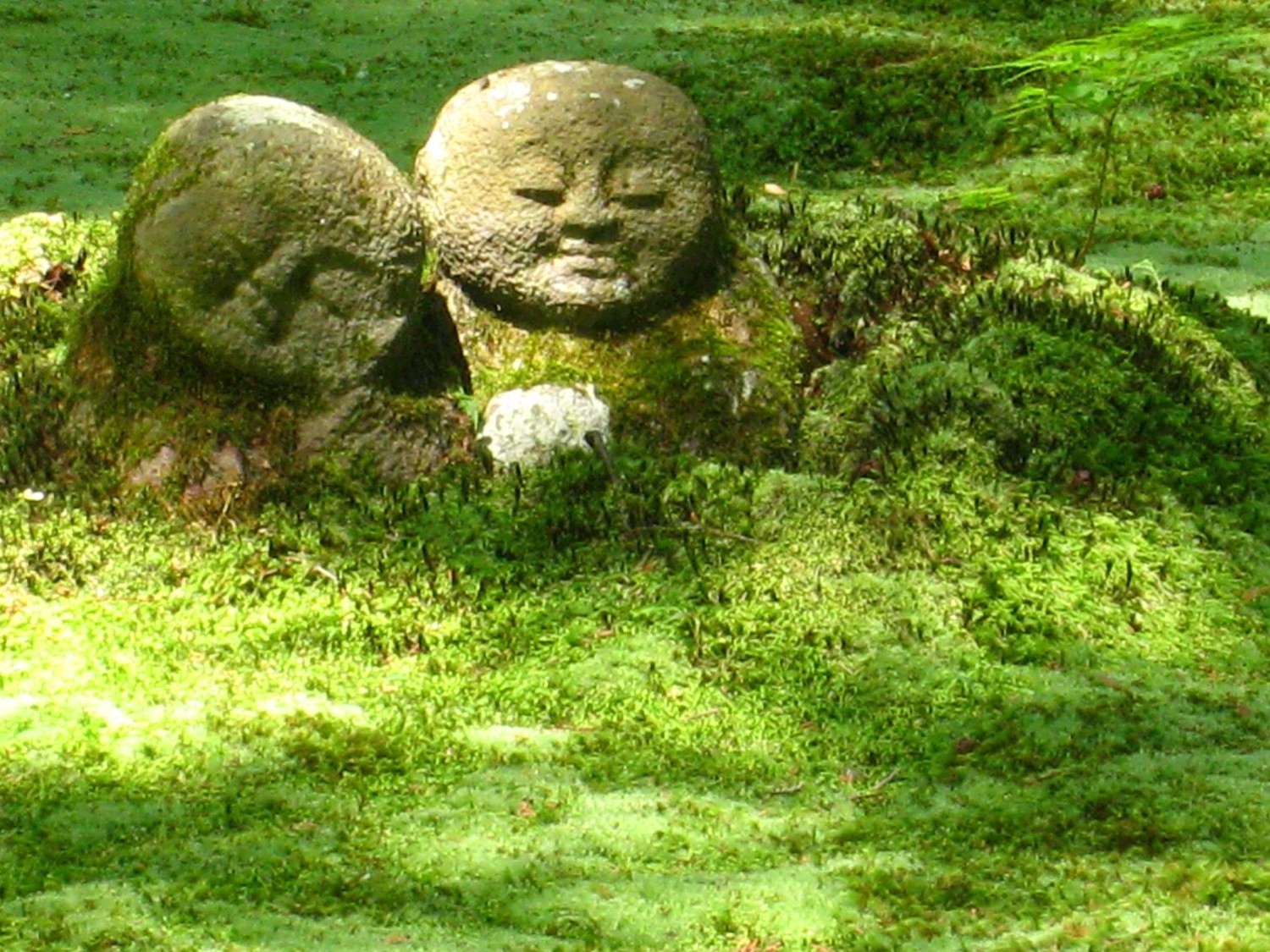 カルチャーアカデミー岐阜新聞・岐阜放送 講座画像